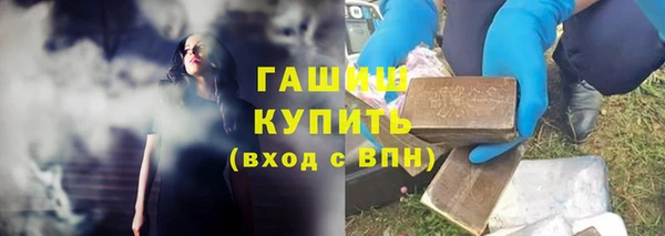 стаф Алексин