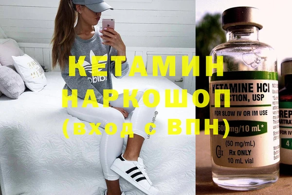 стаф Алексин